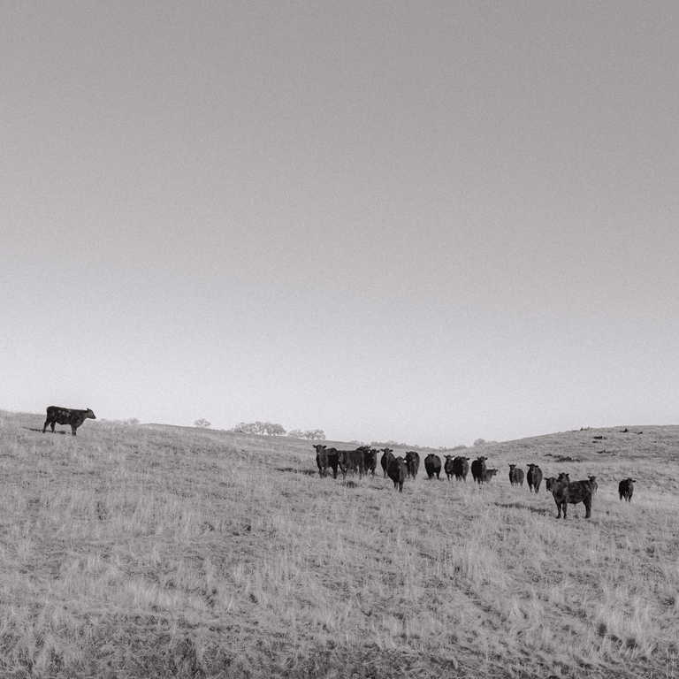 Photograph by Edede Oiwoh