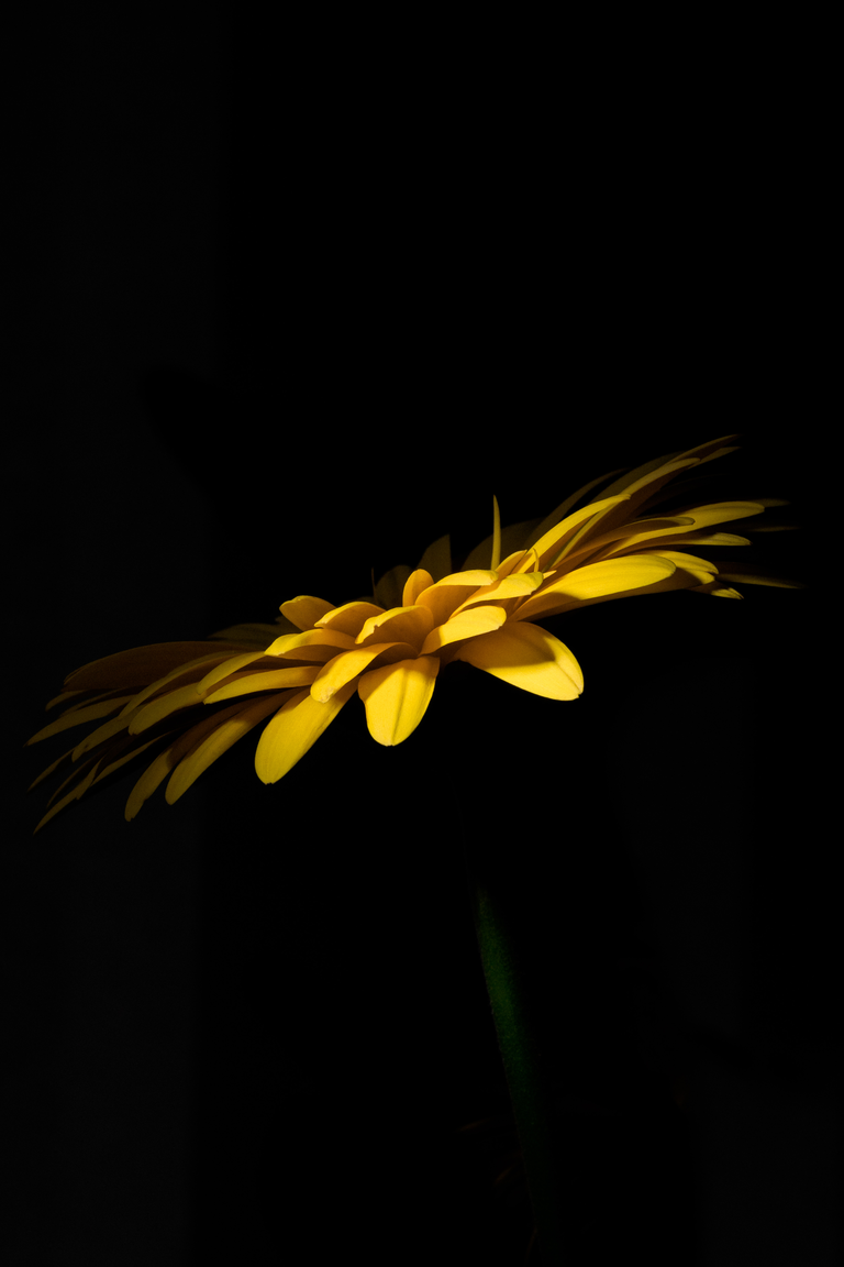 Photograph by Edede Oiwoh