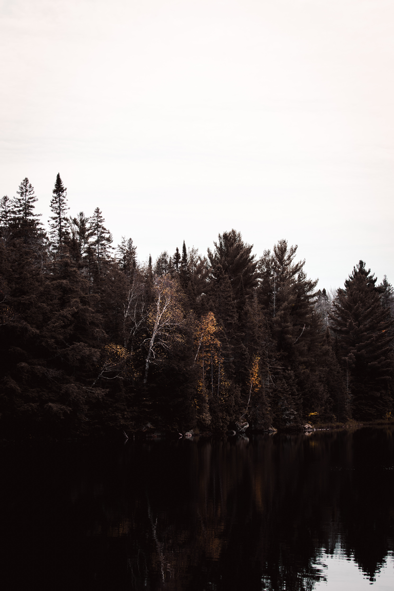 Photograph by Edede Oiwoh